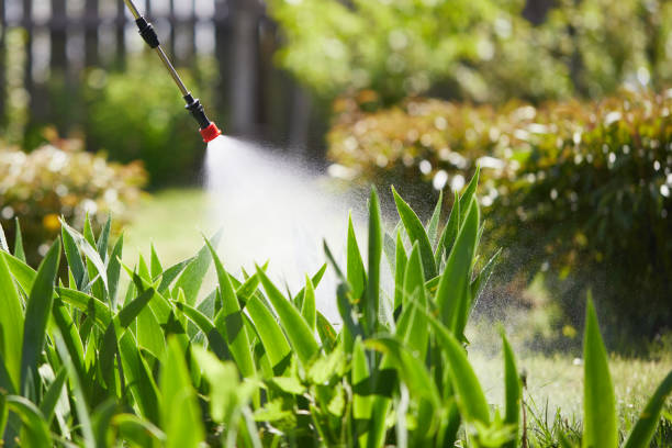 Tamper-Resistant Bait Stations for Rodents in Robins AFB