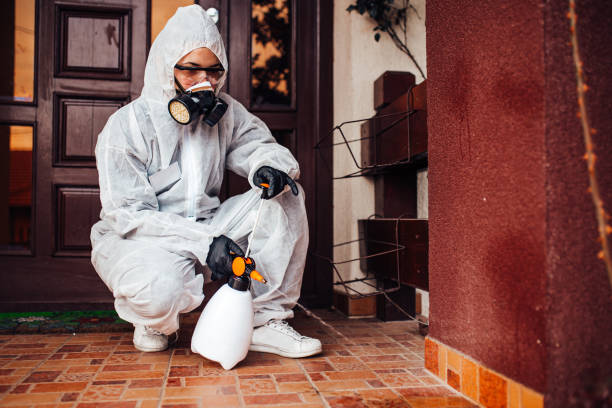 Attic and Crawl Space Rodent Treatment in Robins AFB