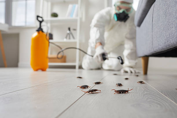 Commercial Rodent Management in Robins AFB